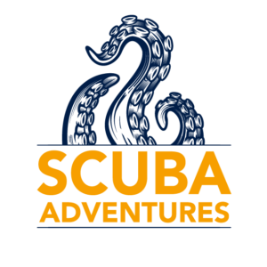 Scuba Adventures | Scuba Dive Shop Marketing Strategies | MarketCrest